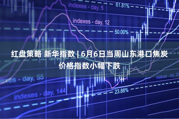 红盘策略 新华指数 | 6月6日当周山东港口焦炭价格指数小幅下跌